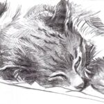 Кошки, коты и котята. Художник Слава Исаков